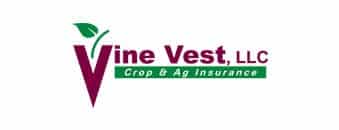 Bernadot-Studios-Website-Design-Client-Logo-_0034_logo Vine Vest logo